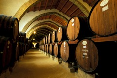 Marsala cellar 1