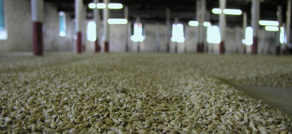 maltings floor