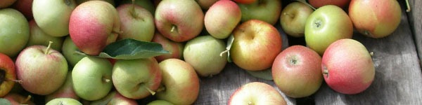 cider_apples_crate