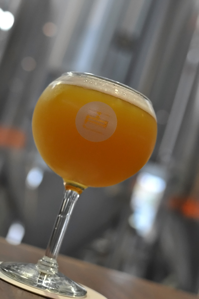 Temple Brewing's Saison