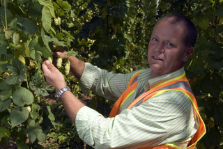 Hop Products Australia's Tim Lord