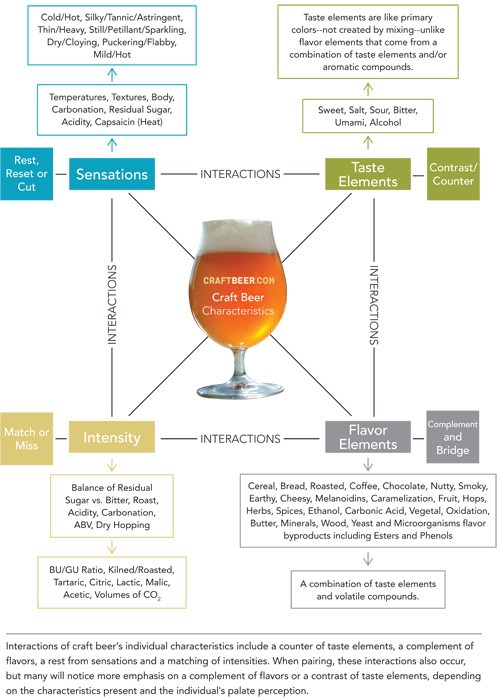 beer taste sensations