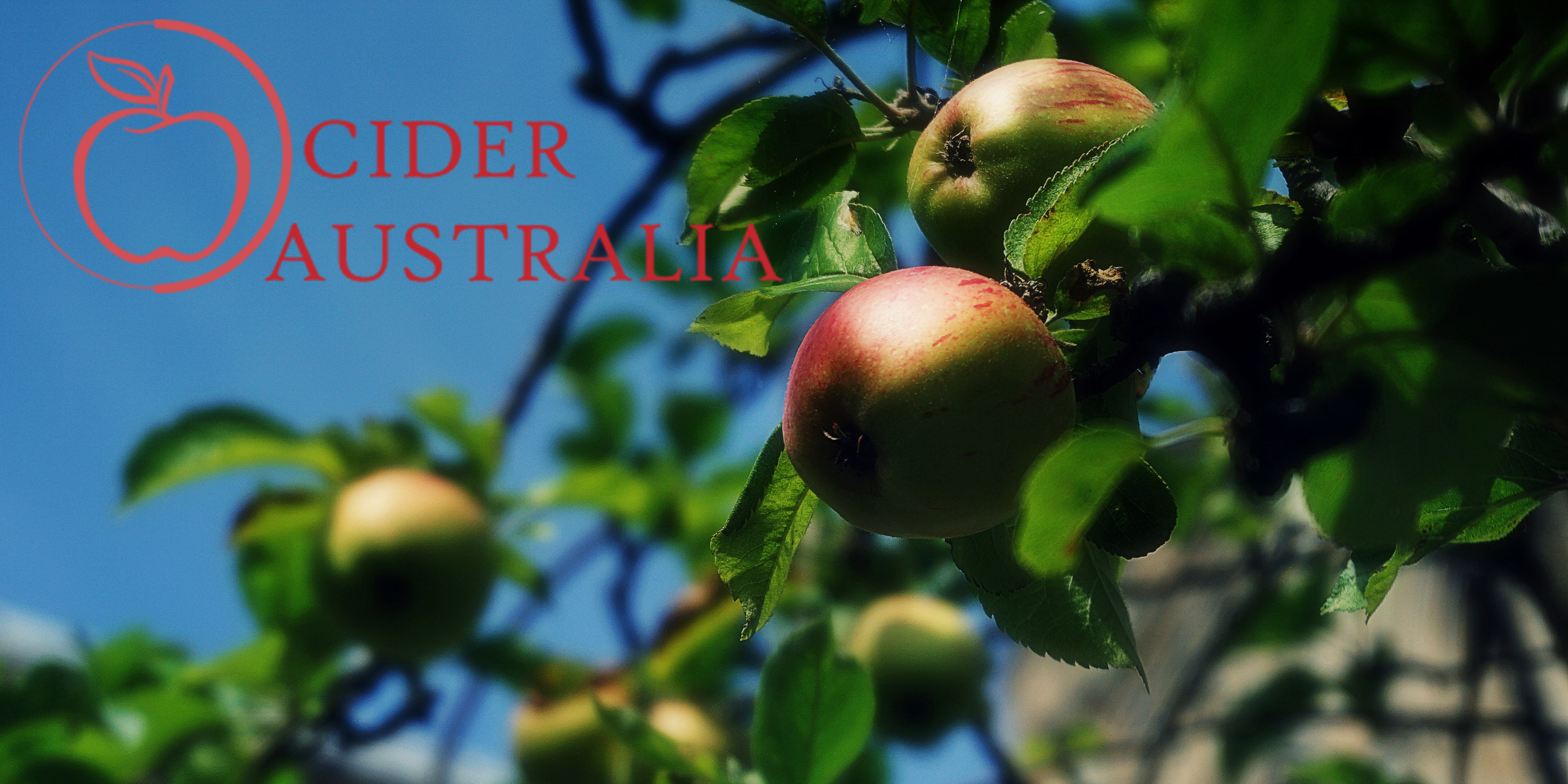 cider-australia-hero