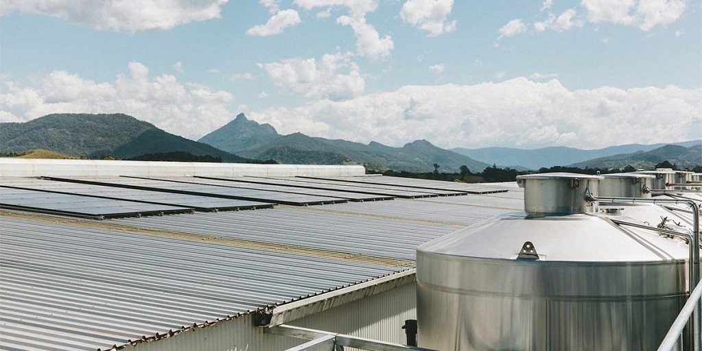 Solar Panel Murbah