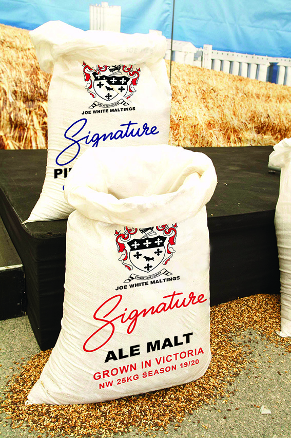 Signature Malt bags